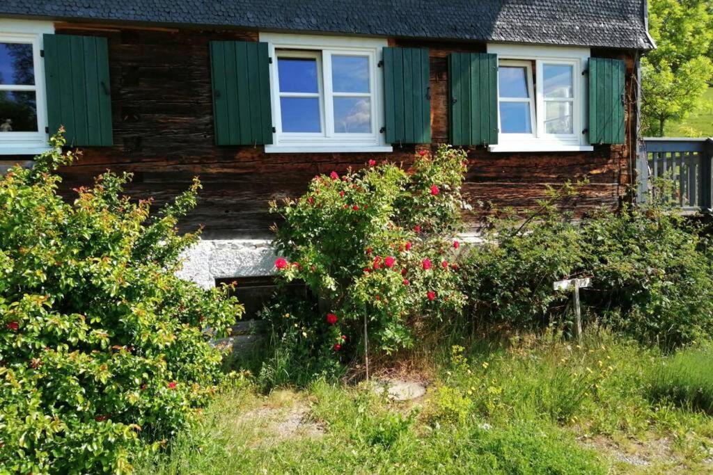 Allgaeu Apartment Rose Im Og Grunenbach Εξωτερικό φωτογραφία